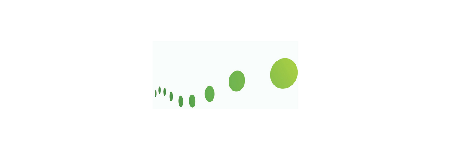 Wembley Chiro Banner Logo.png
