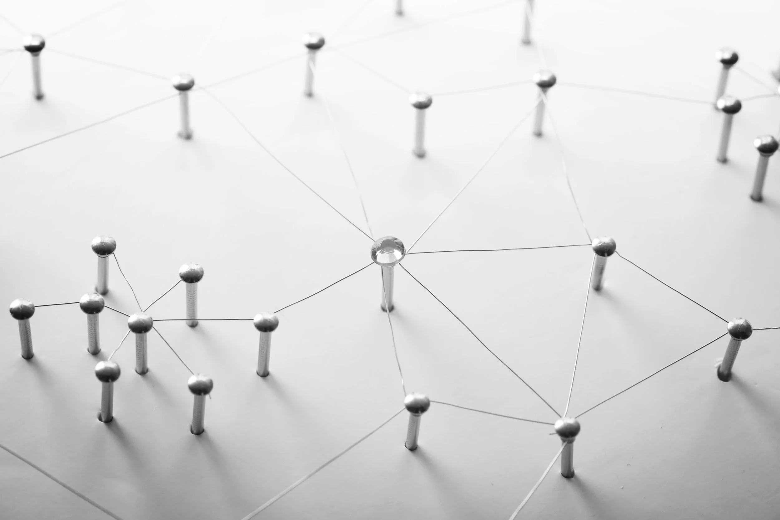 Danish IT consultancy ProData Consult buys Dutch player Eliantie