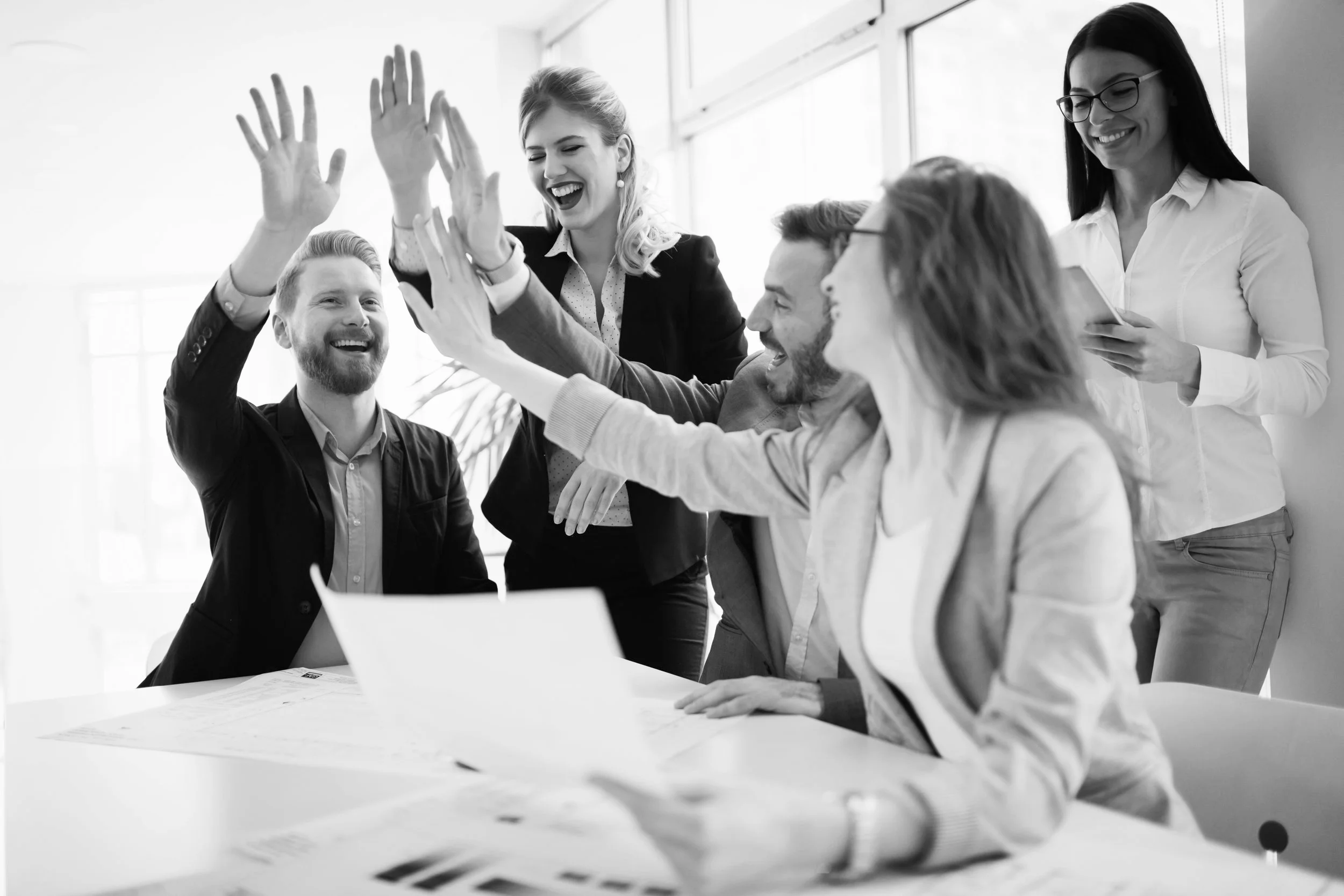 COMPLETED ASSIGNMENT: Principal Consultant - Procurement
