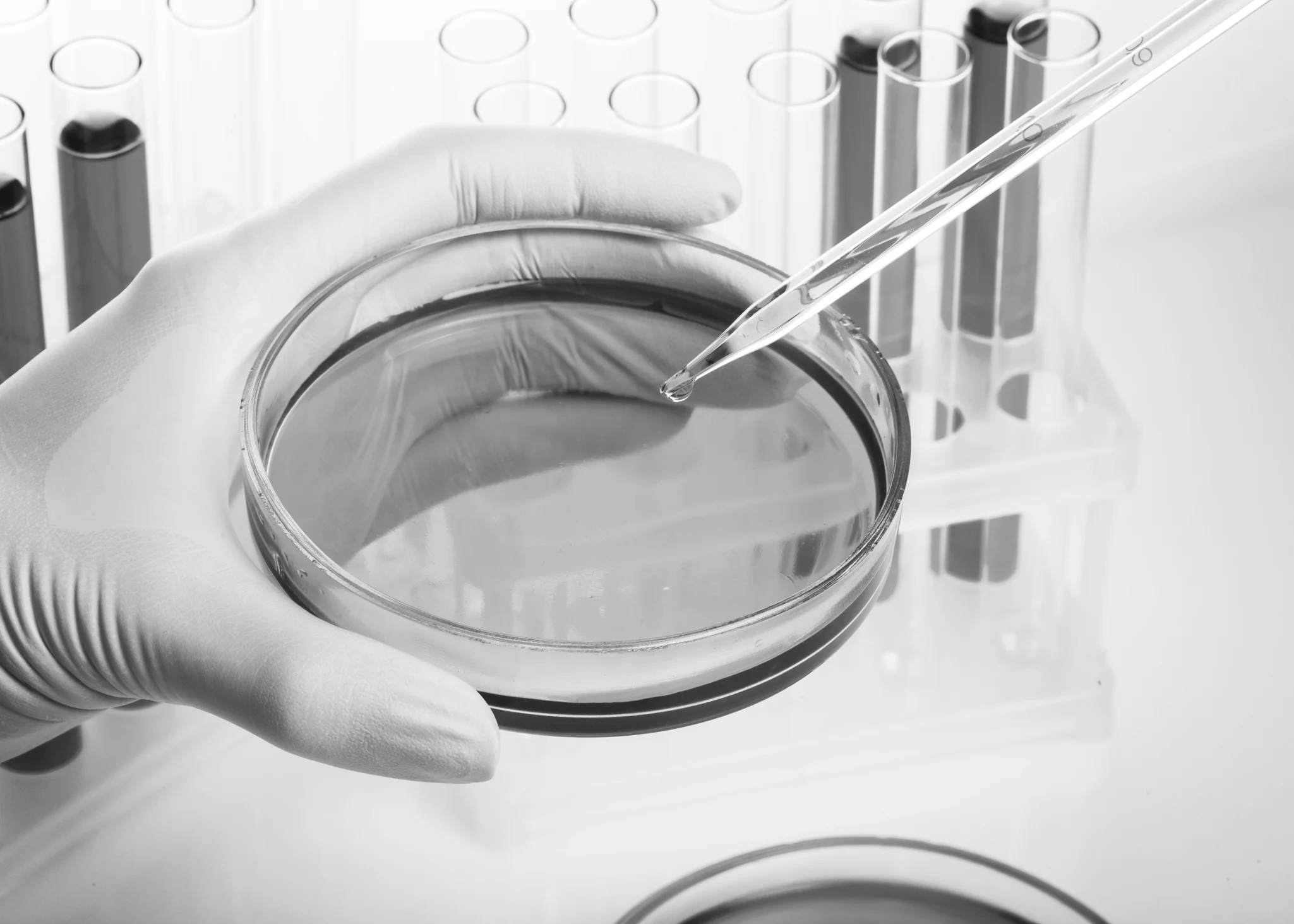 iStock-877773948.jpg