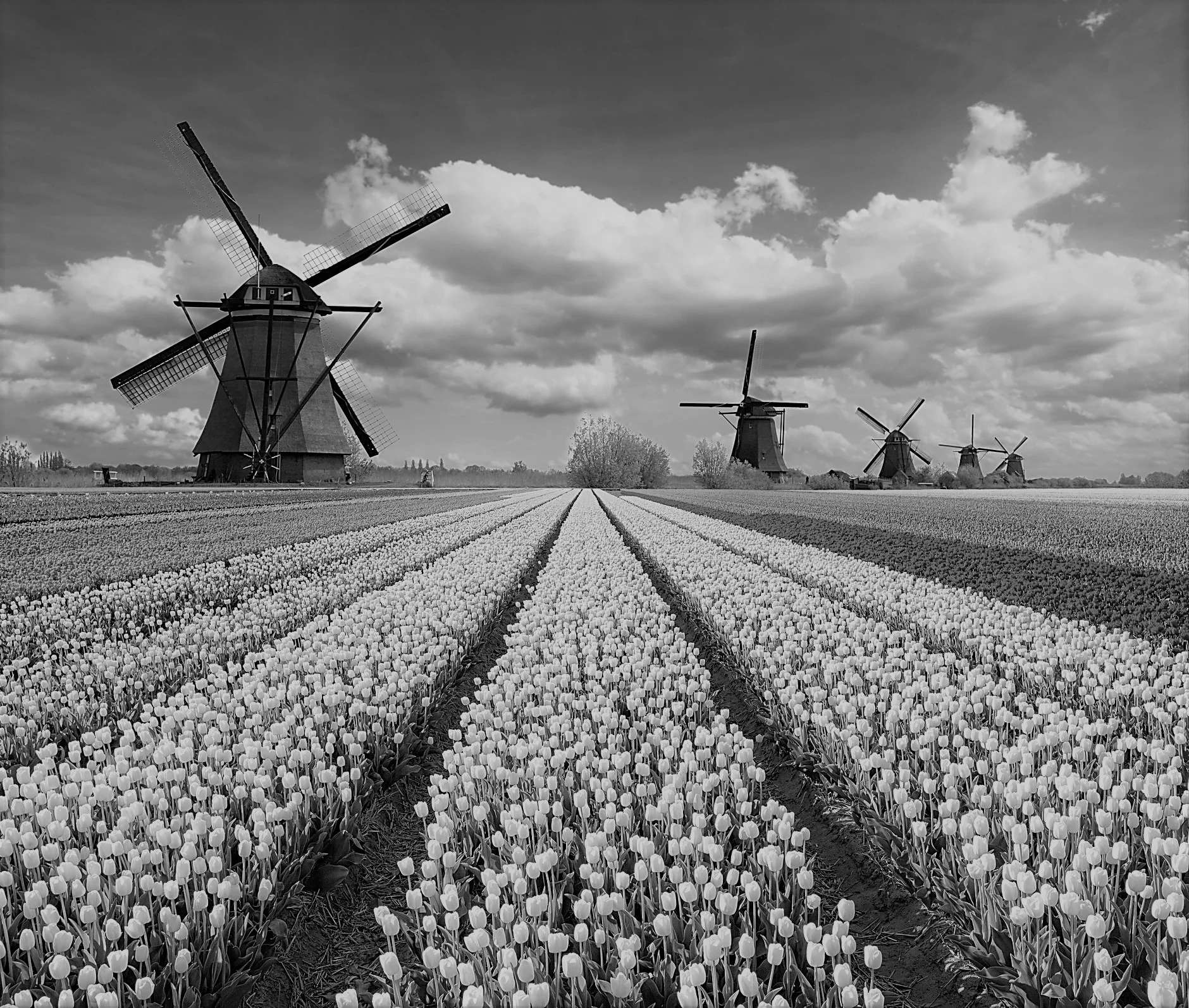iStock-504124058.jpg