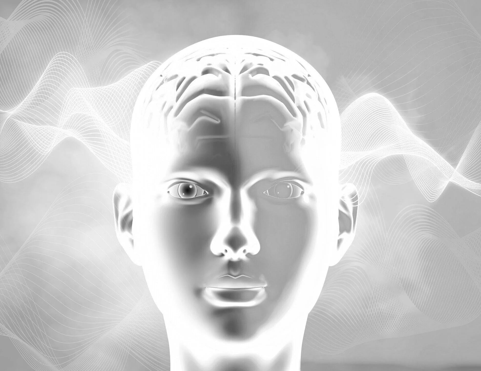 iStock-980725622.jpg