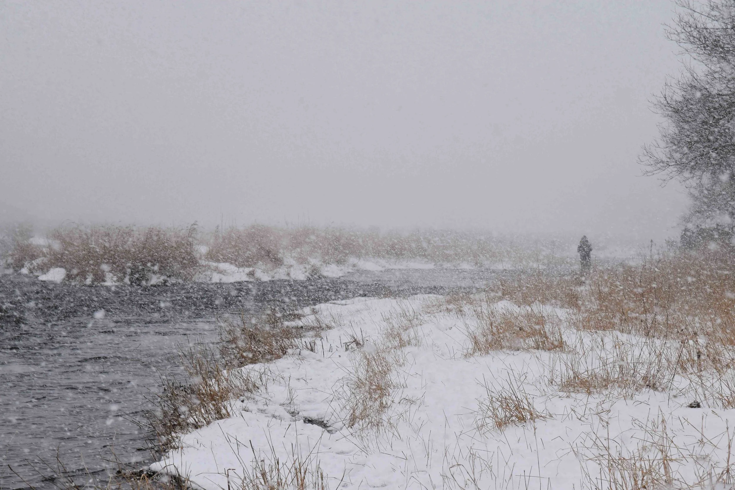 Whiteout, Sandy Creek, New York