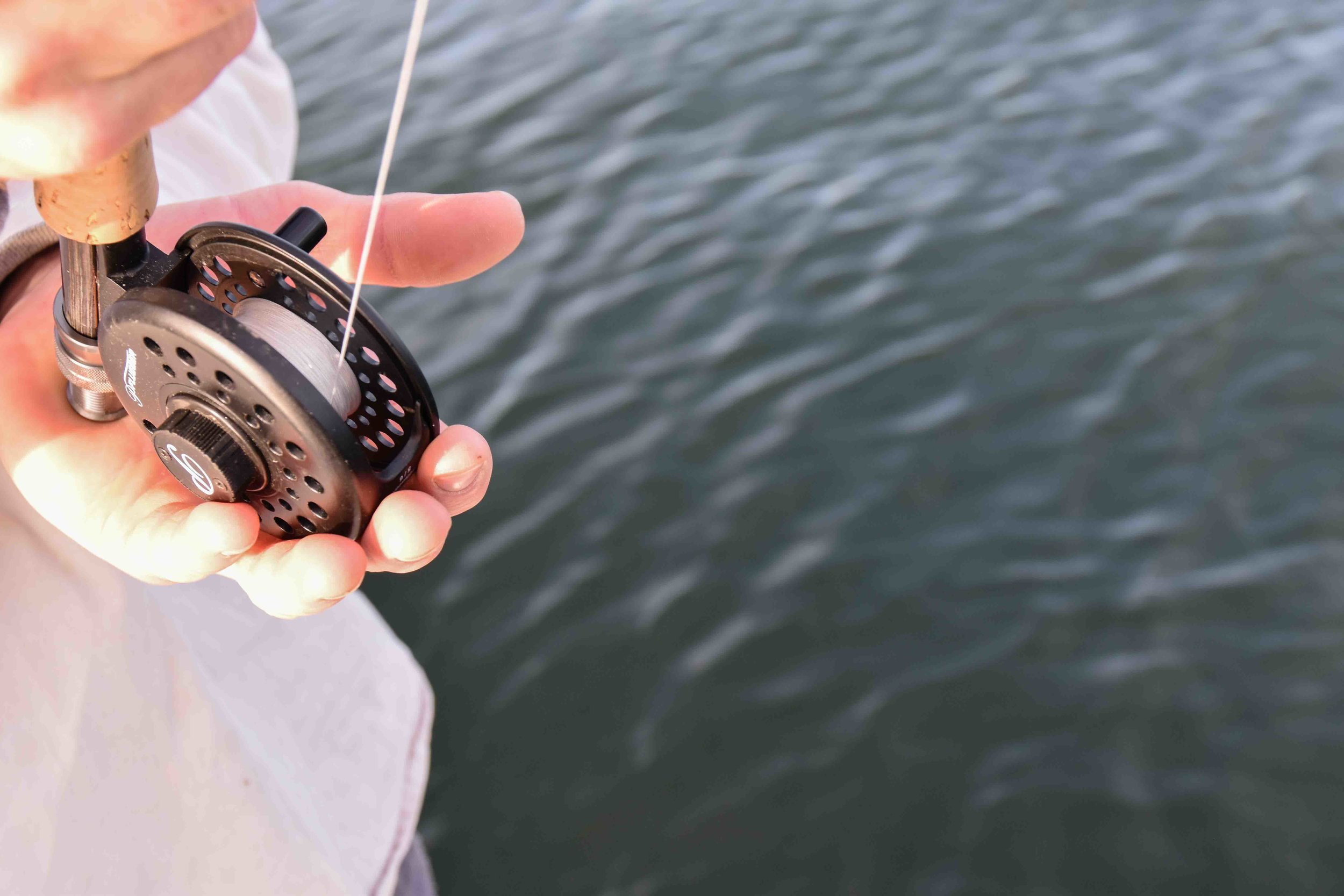 Spooled, Lake Ontario 