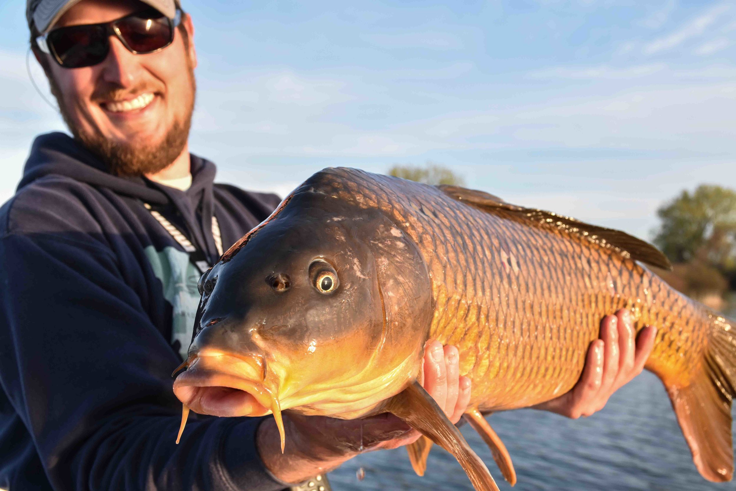 Sunset Carp, Thousand Islands National Park