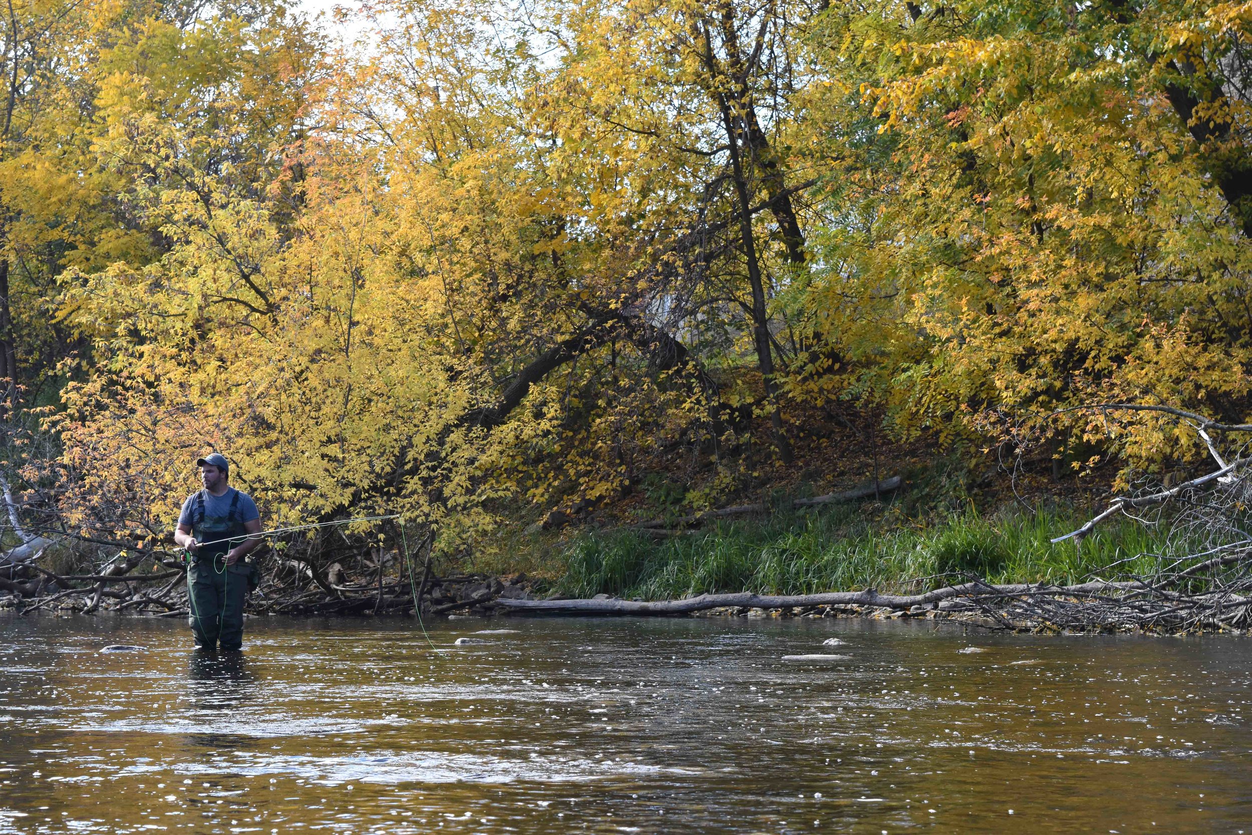 Napanee River, Ontario 