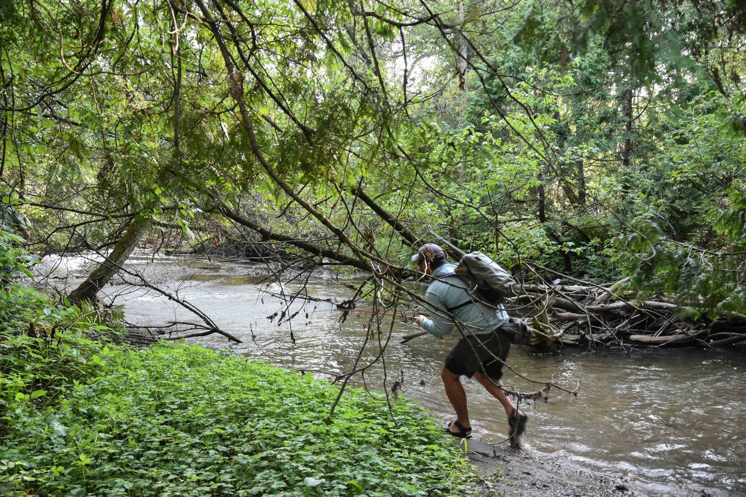 Obstacle Course, Lake Ontario Tributary