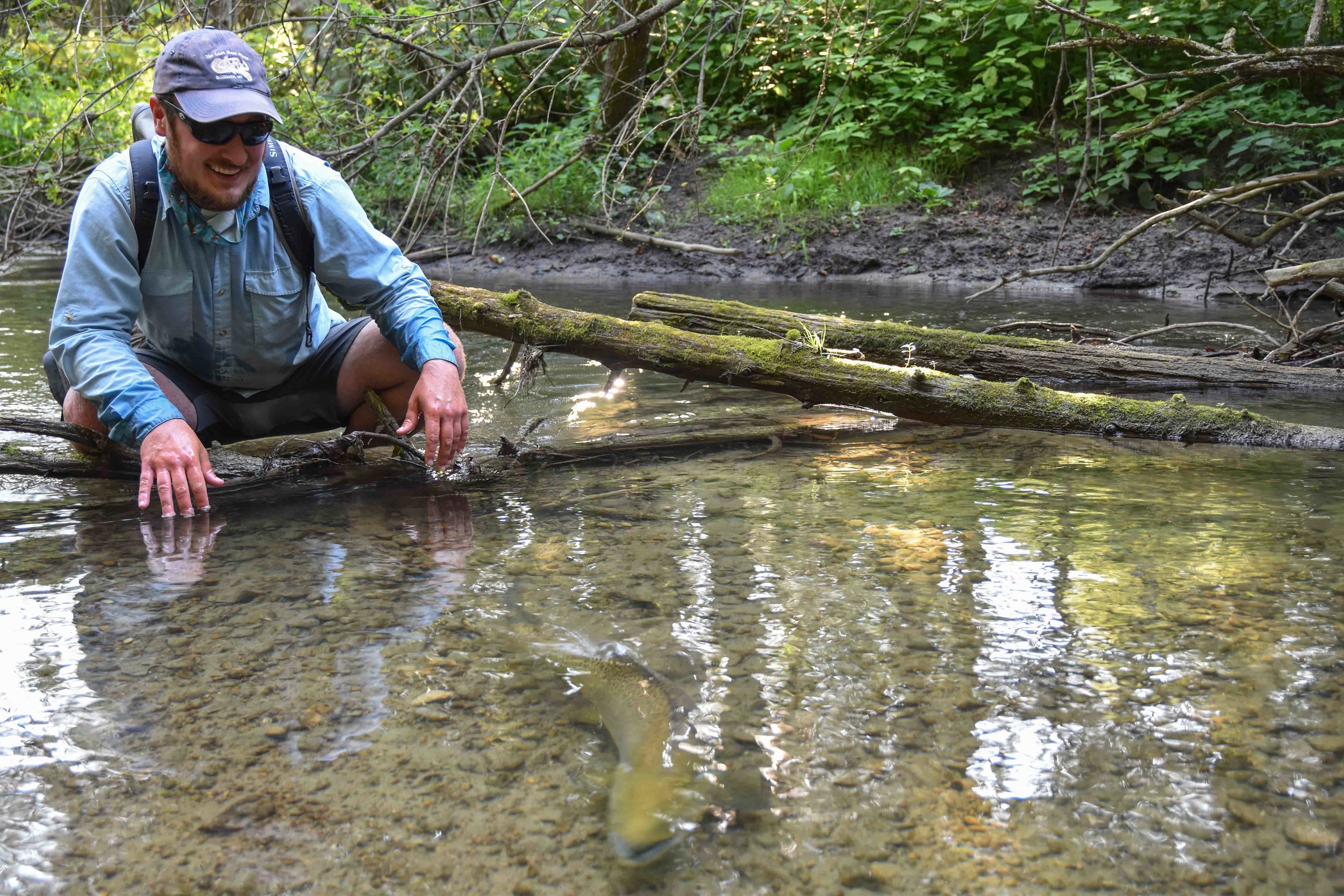  A Clean Release, Lake Ontario Tributary