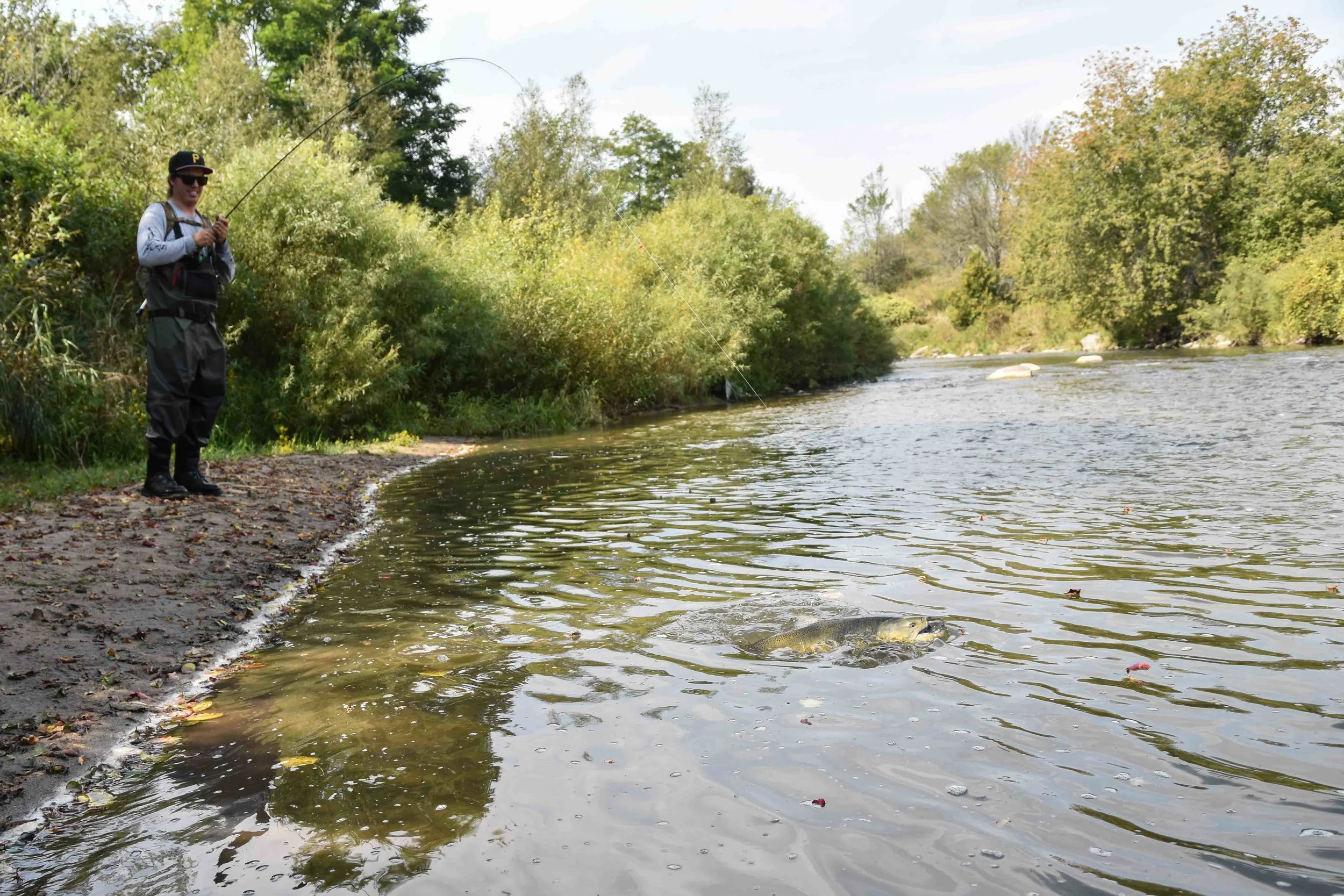Lake Ontario Tributary