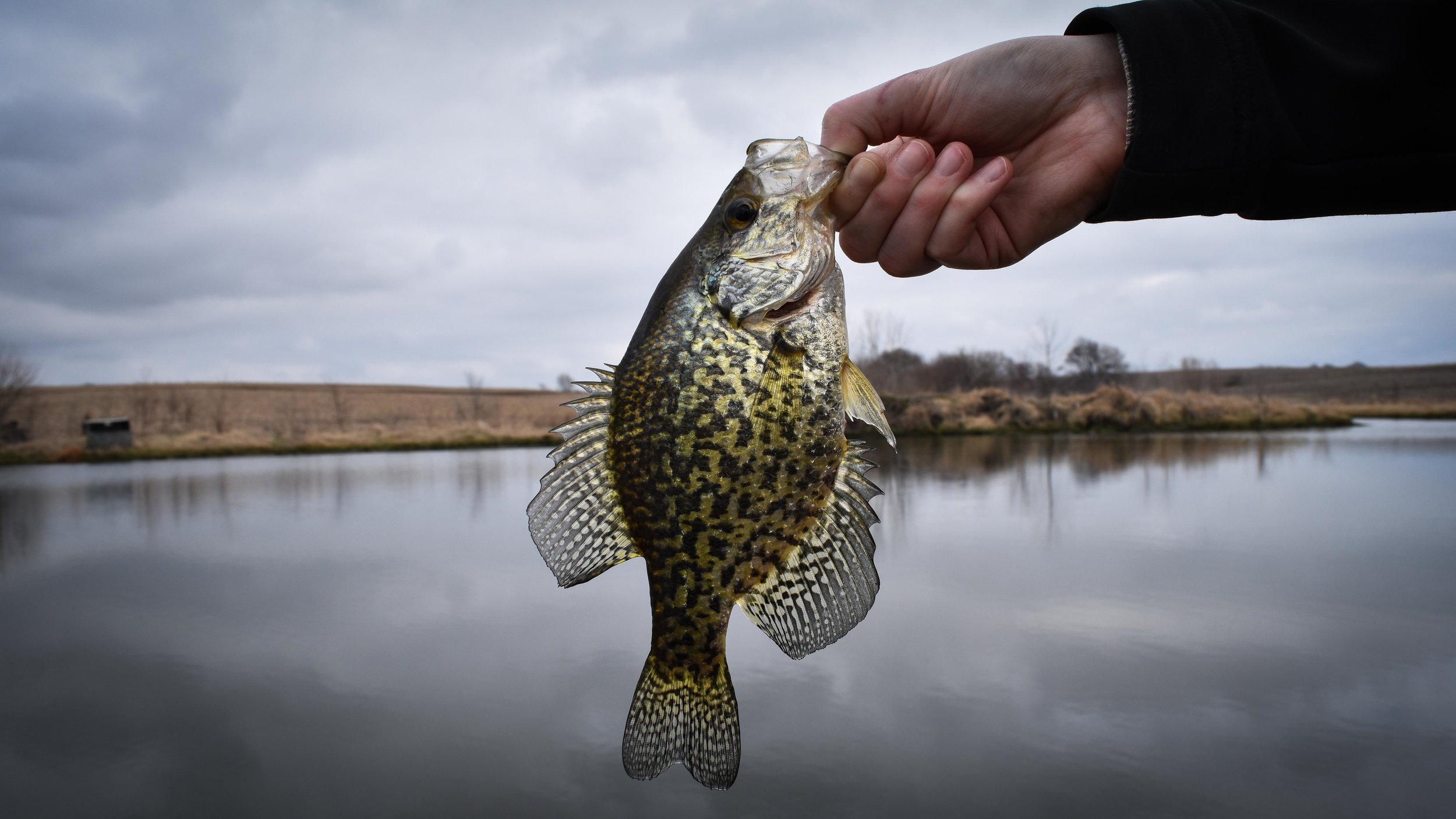 A First, Nebraska