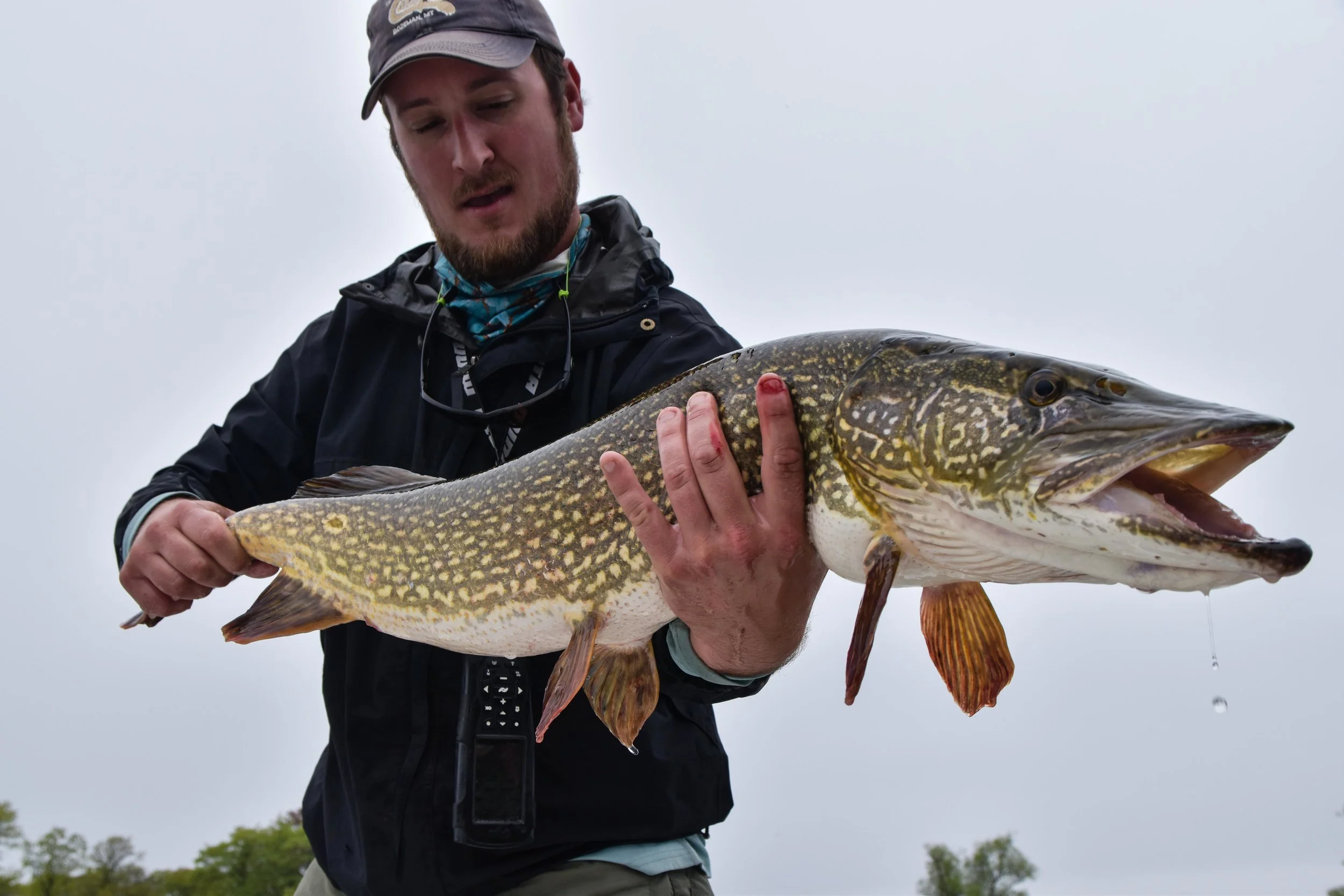 RCS_3928.jpg