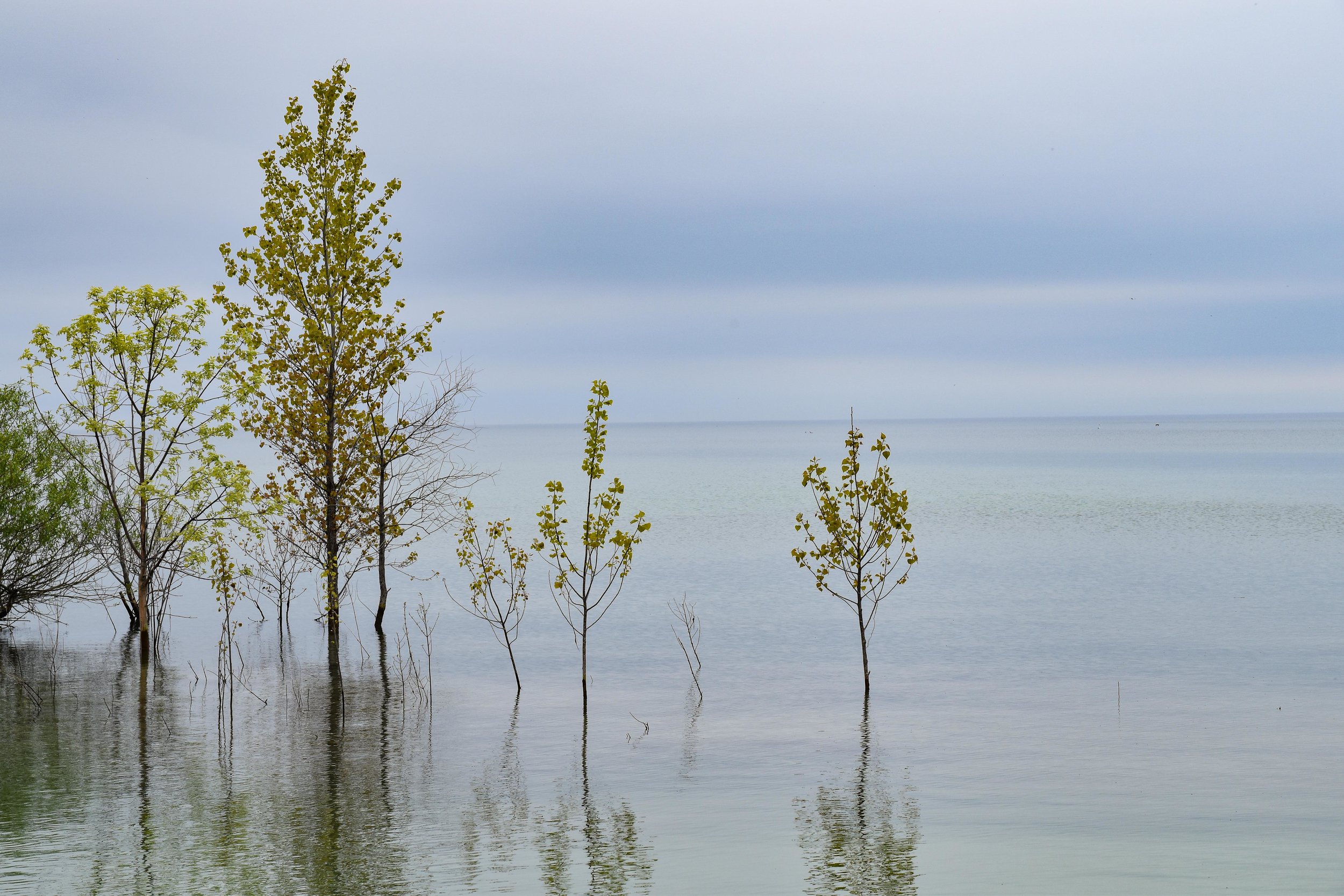 Great Lakes Oasis, Duck Island, Lake Ontario 