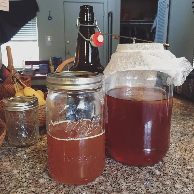 Kombucha