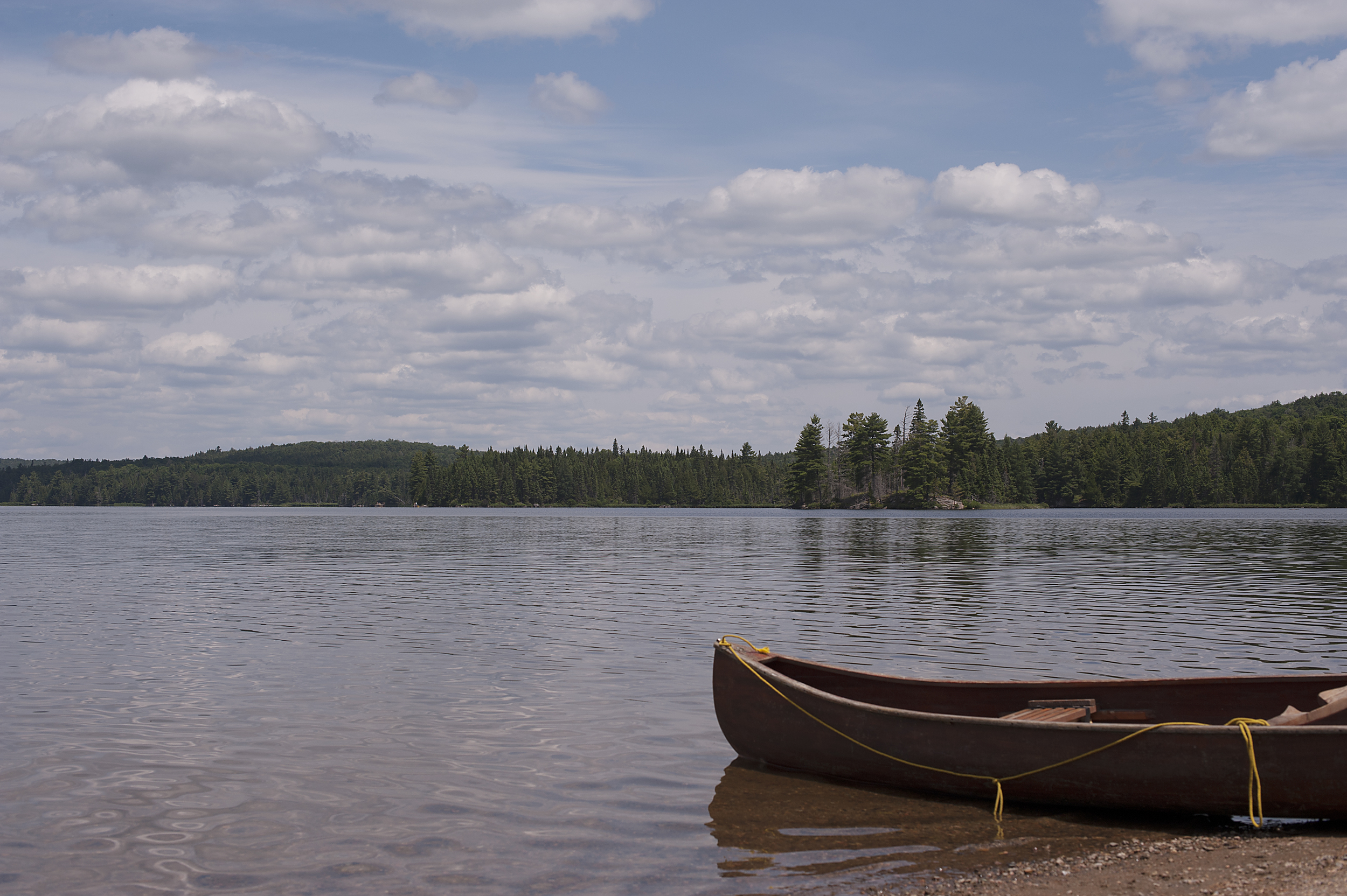 shannonturnerphotography.com Algonquin Park 2015