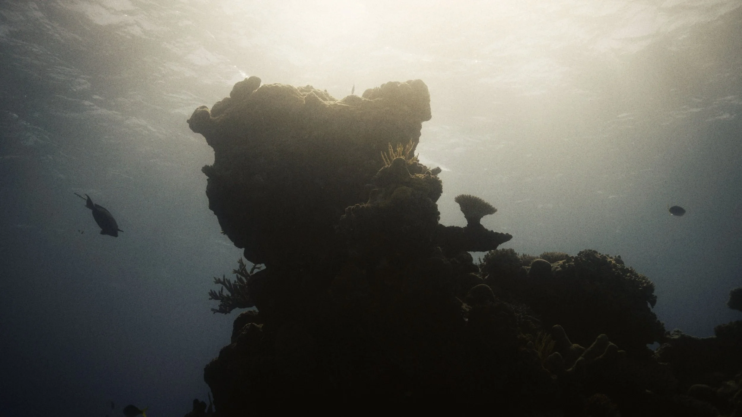 JULIAN CHARRIERE 4.jpg