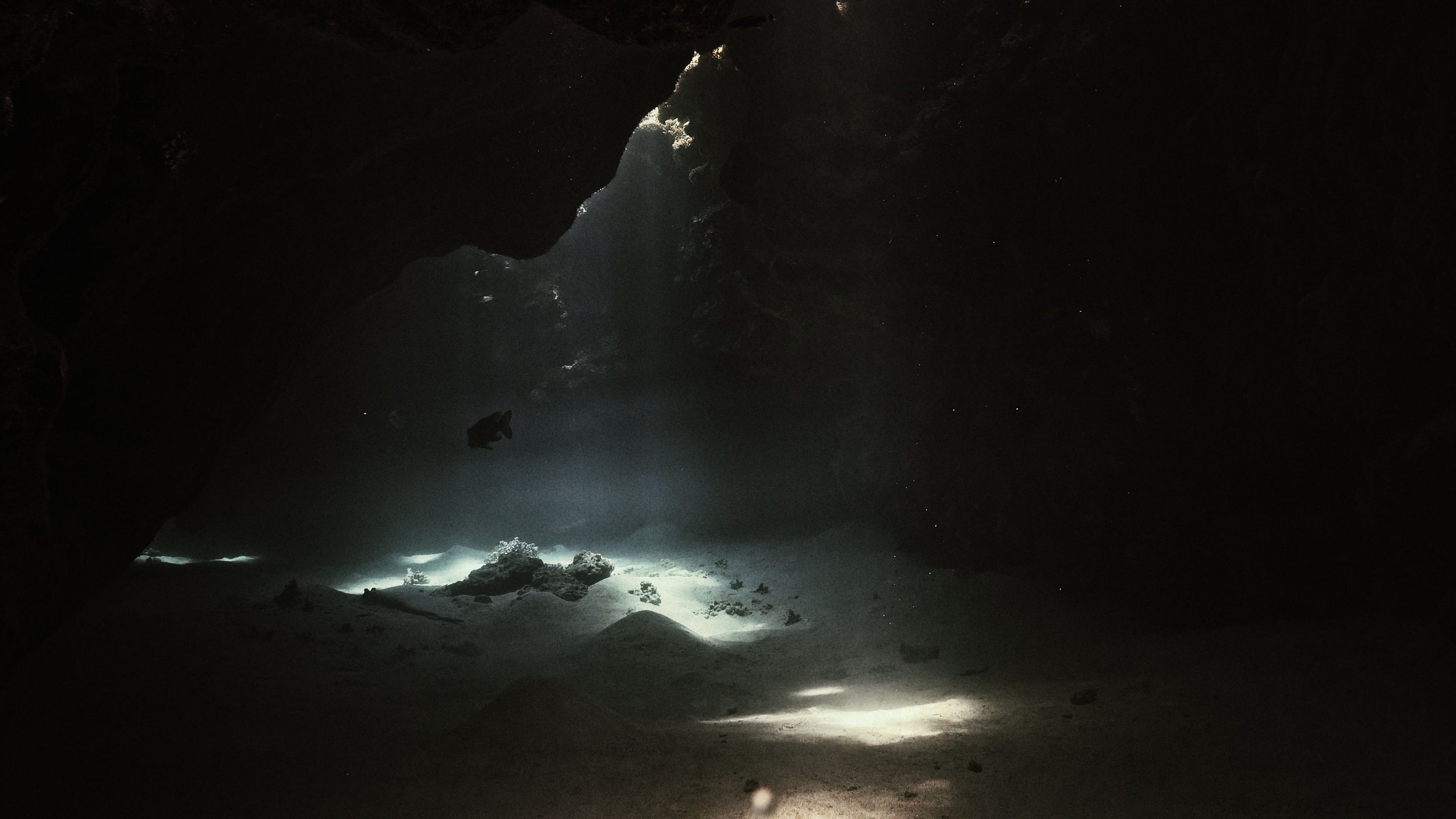 JULIAN CHARRIERE 7.jpg