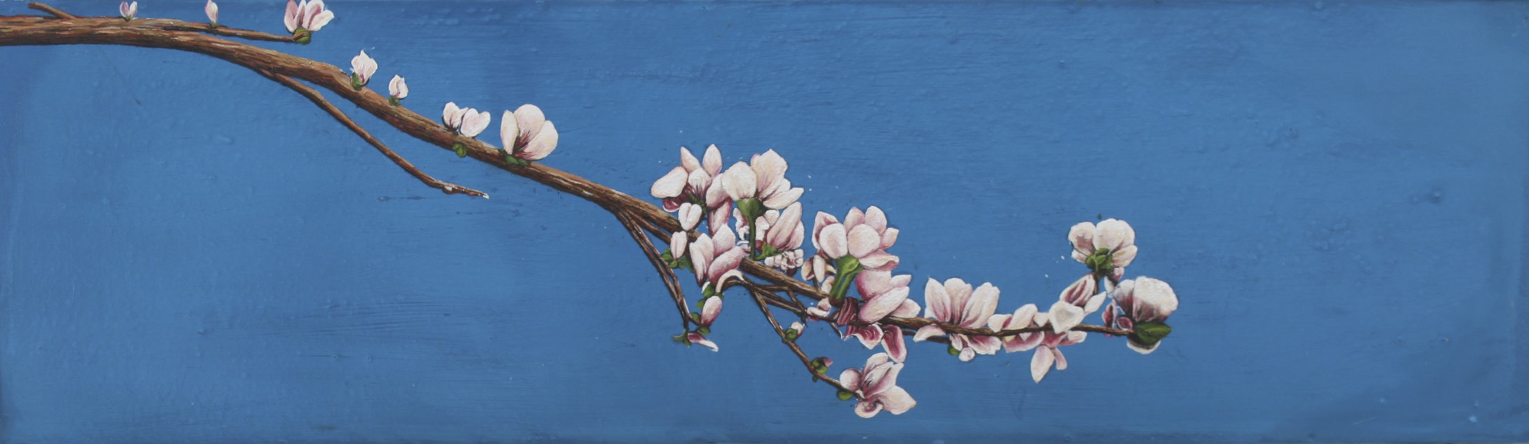 Magnolia Branch.