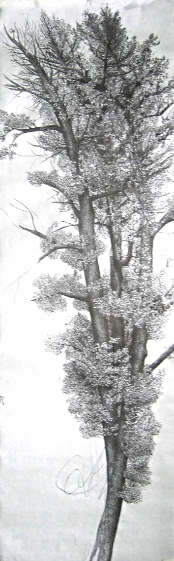 Ginko Tree 4. Ink on rice paper. 2003. .jpg