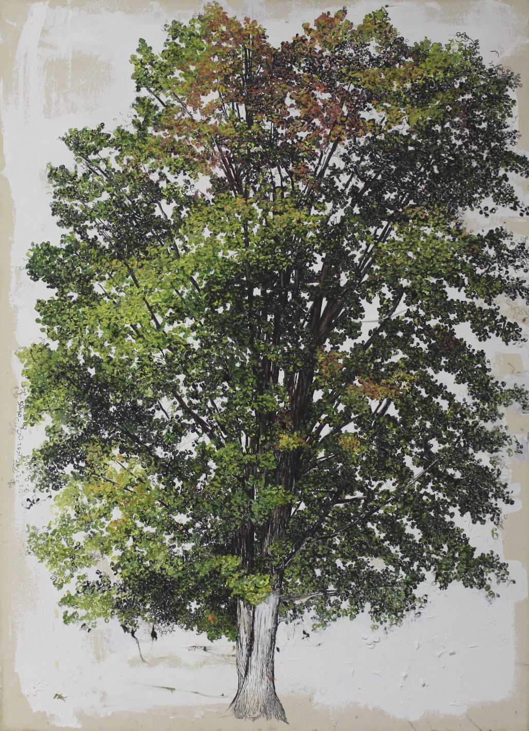 Oak Tree Fall.