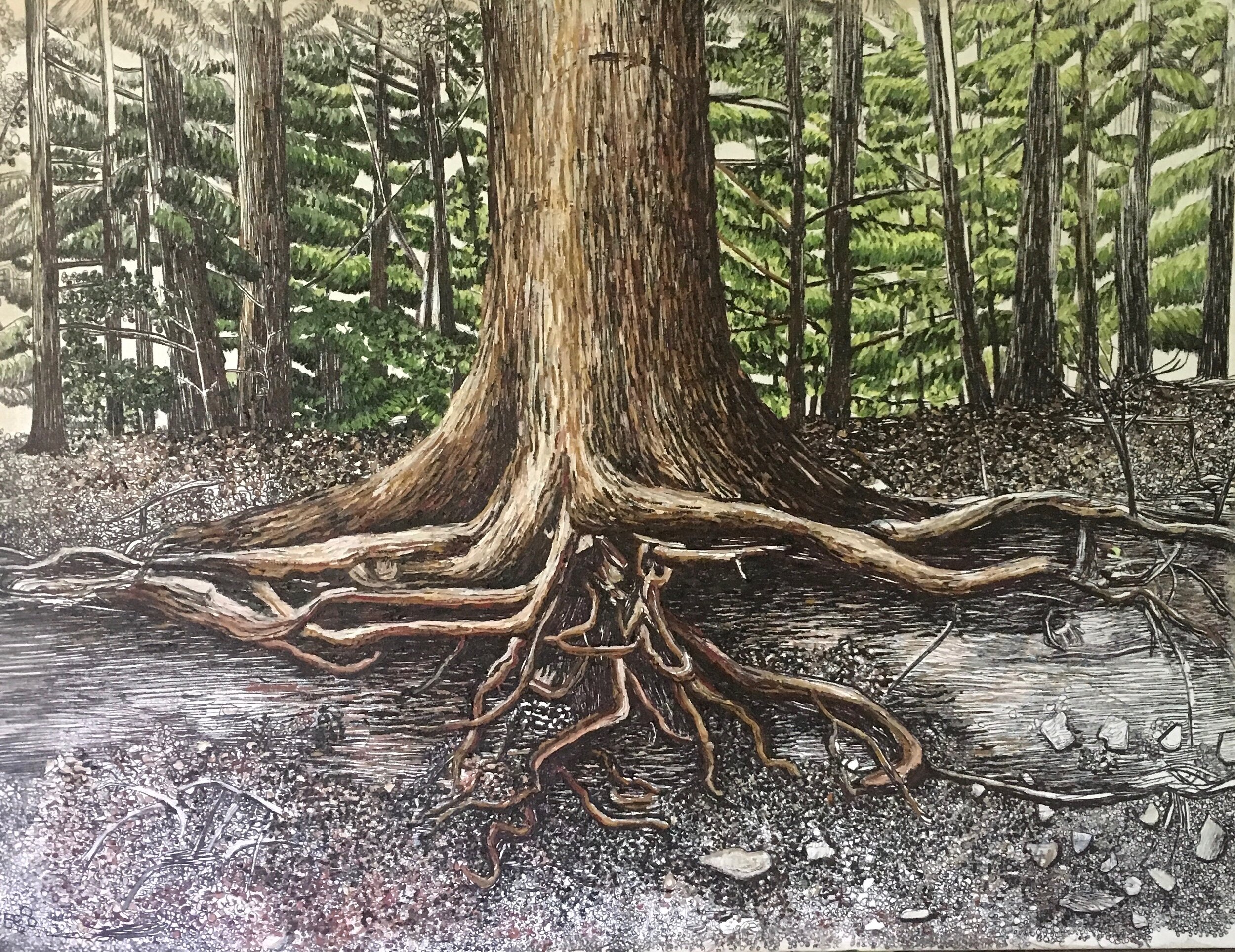 Roots Under the Surface.