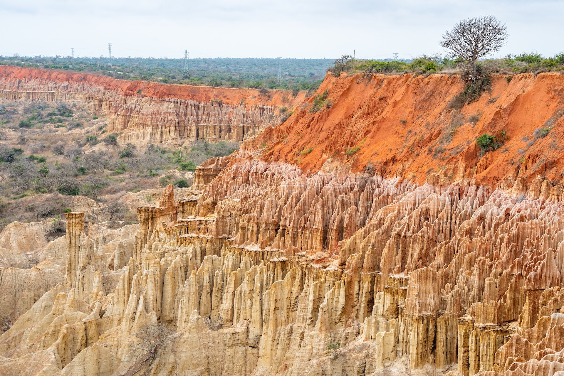 AdobeStock_227252129.jpeg