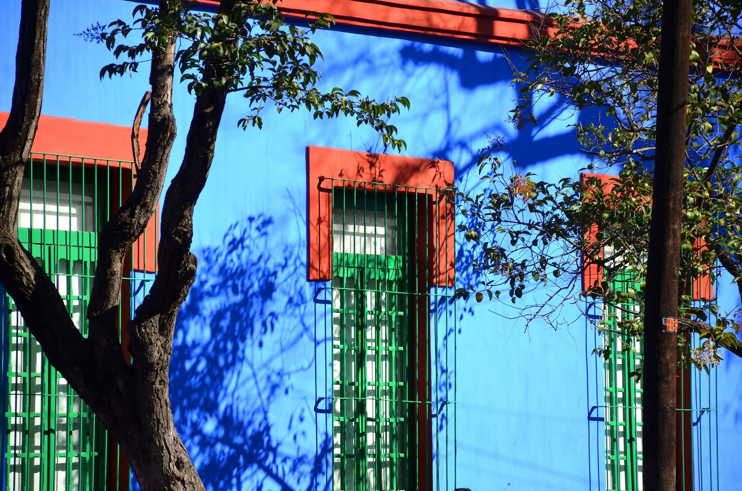 AdobeStock_246617944.jpeg