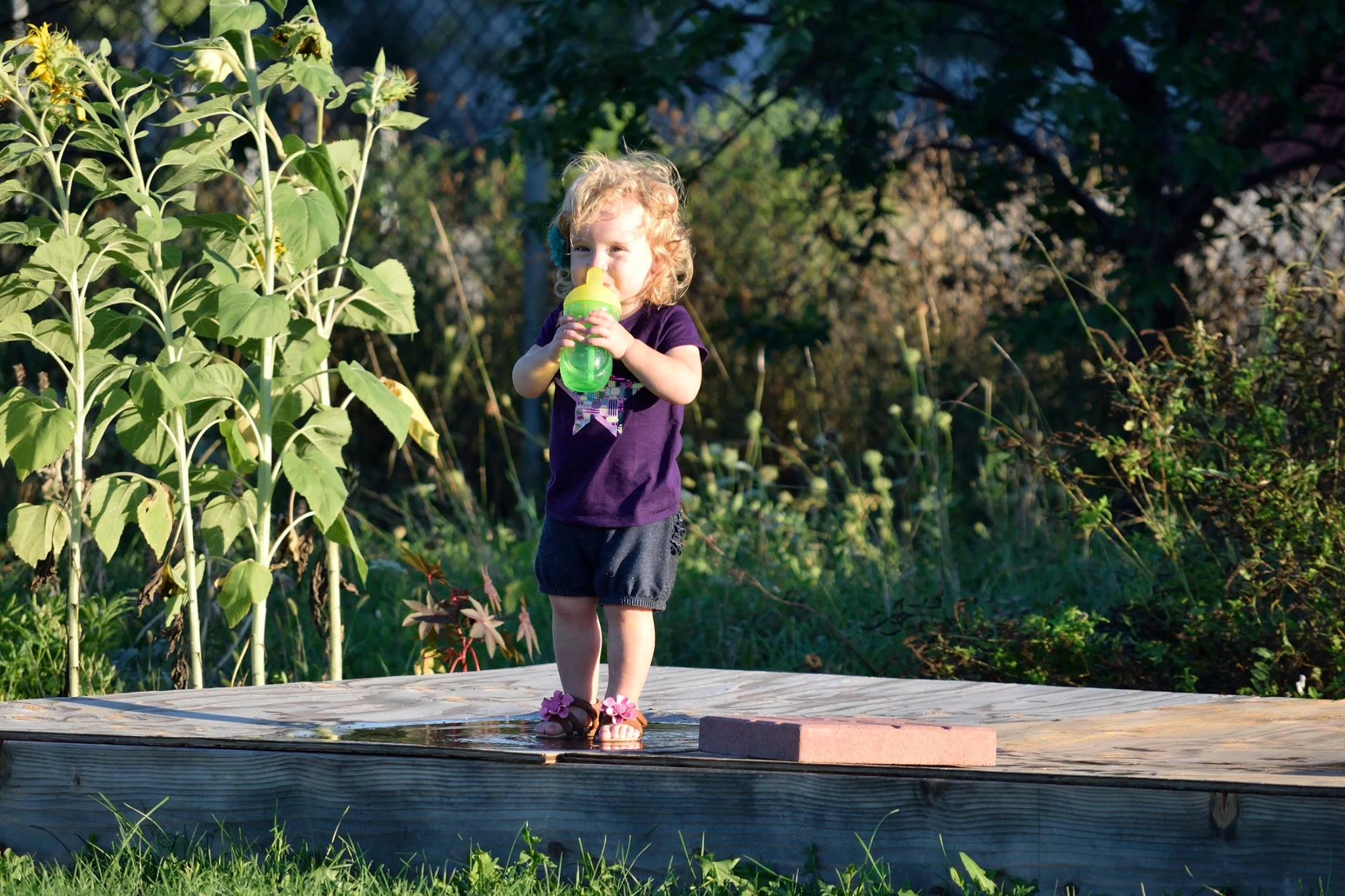 gardengirl.jpg