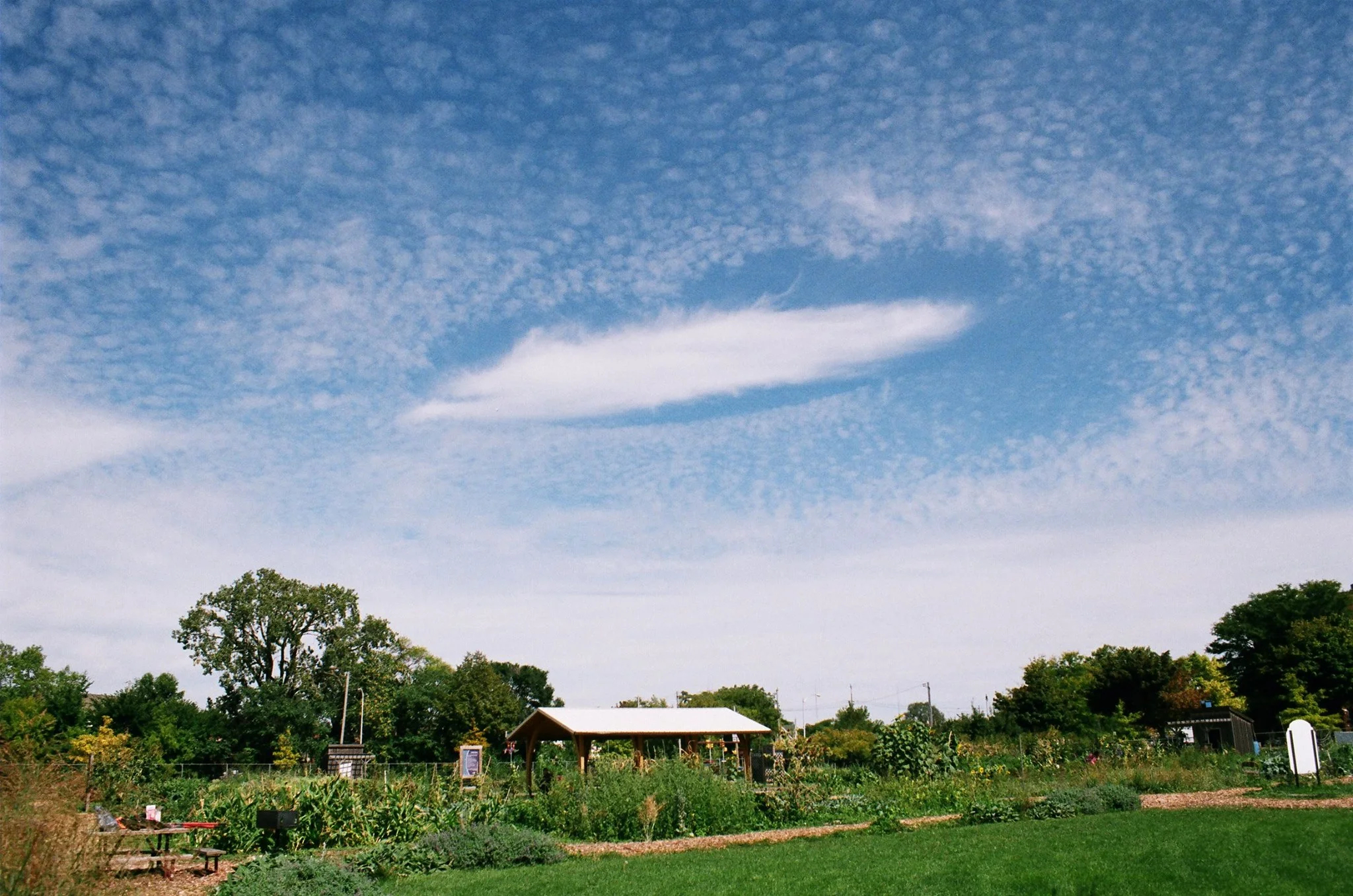 An image of Alice's Garden as it stands today with over 2.2 acres of land.