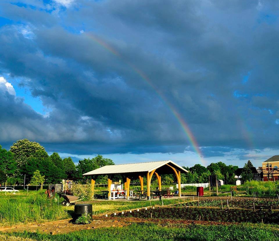 Garden Rainbow.jpg