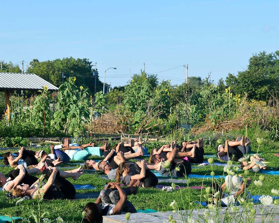 yoga in the garden.jpg