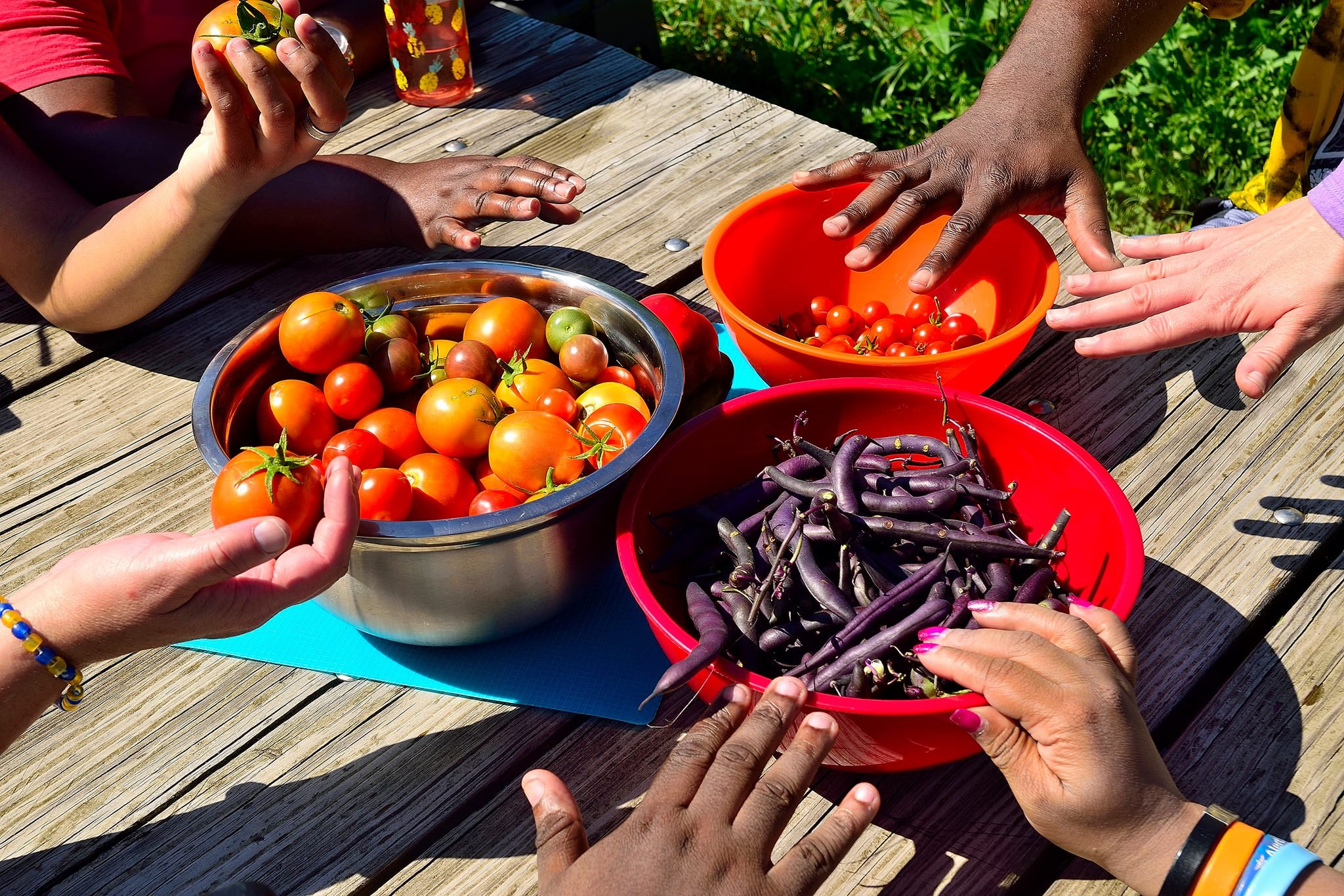 hands and veggies.jpg