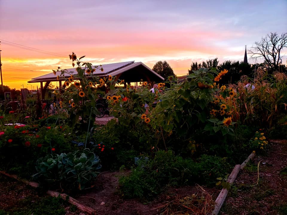 ALICE'S GARDEN URBAN FARM