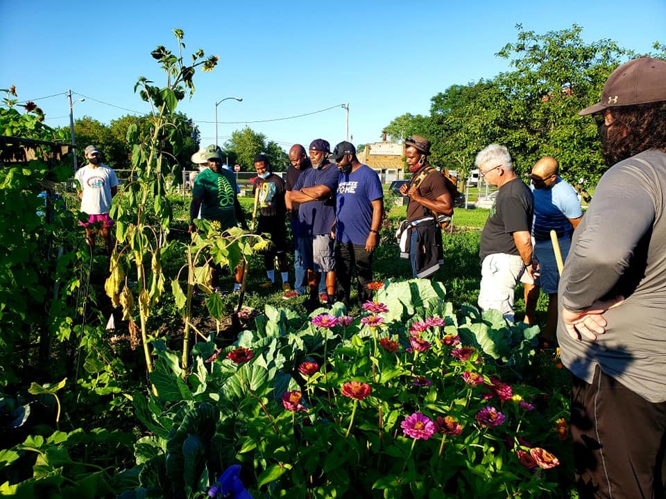 ALICE'S GARDEN URBAN FARM