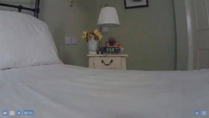 Image 11 being present live feed clip.jpg