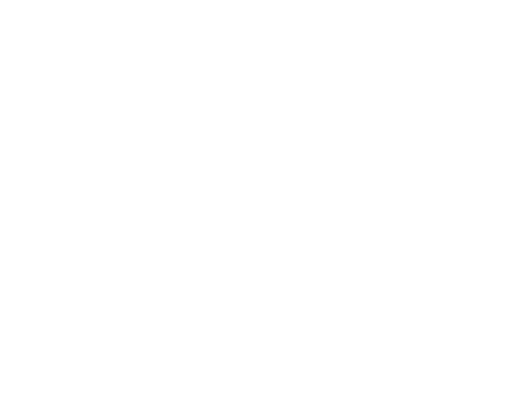 LG.png