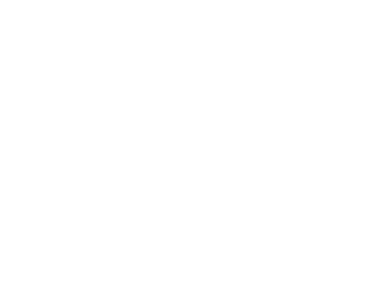 vokks.png