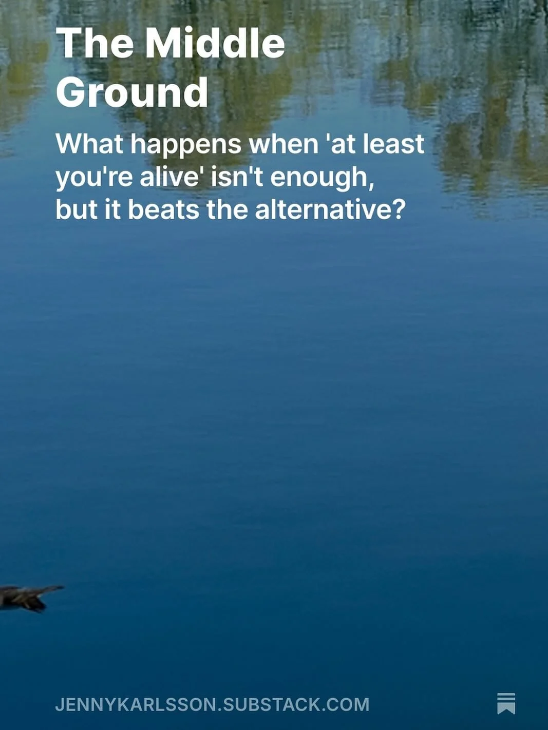 Comment &ldquo;ALIVE,&rdquo; and I&rsquo;ll send you a poem I recently wrote to capture the season I&rsquo;ve been experiencing. Perhaps you are navigating your own middle ground. I&rsquo;m sending you strength. 💛