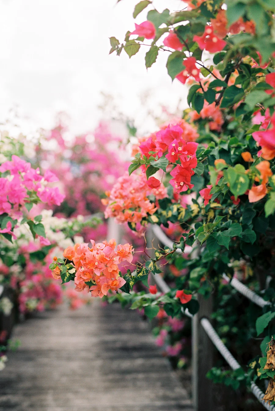 Curacao_Film_Nov2015_014_WEB_WEB.jpg