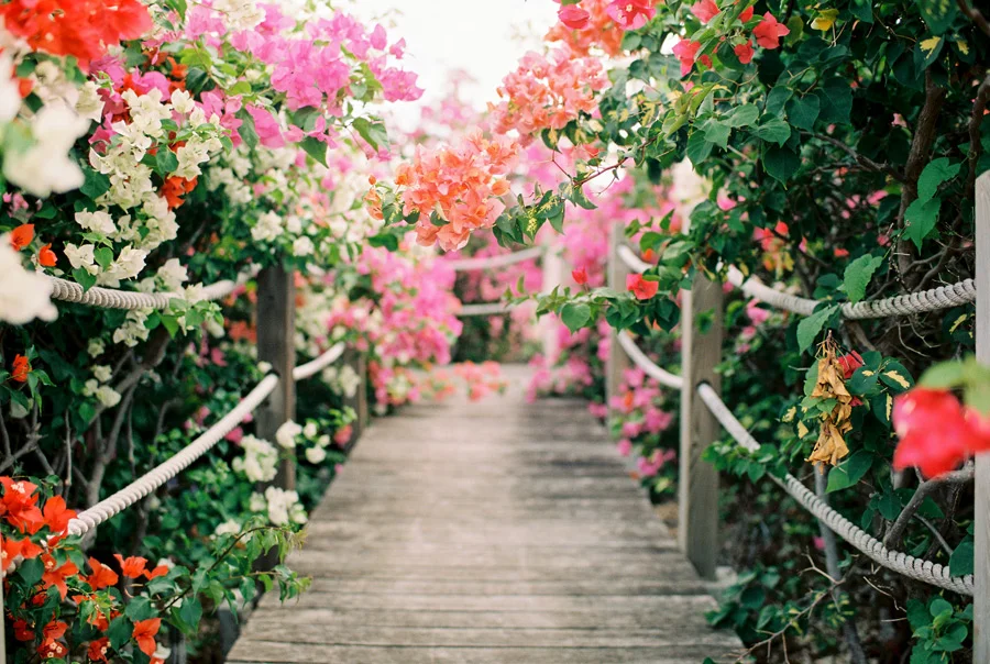 Curacao_Film_Nov2015_022_WEB_WEB.jpg