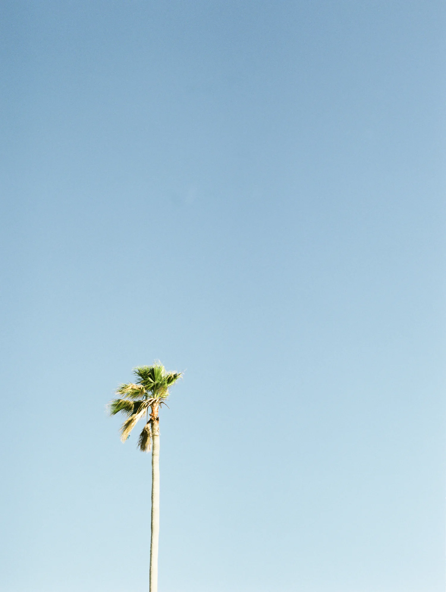 Havana_Samples_011.jpg