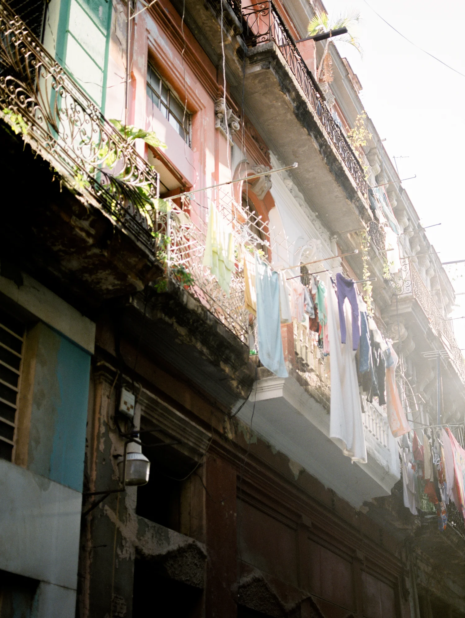 Havana_Samples_218.jpg