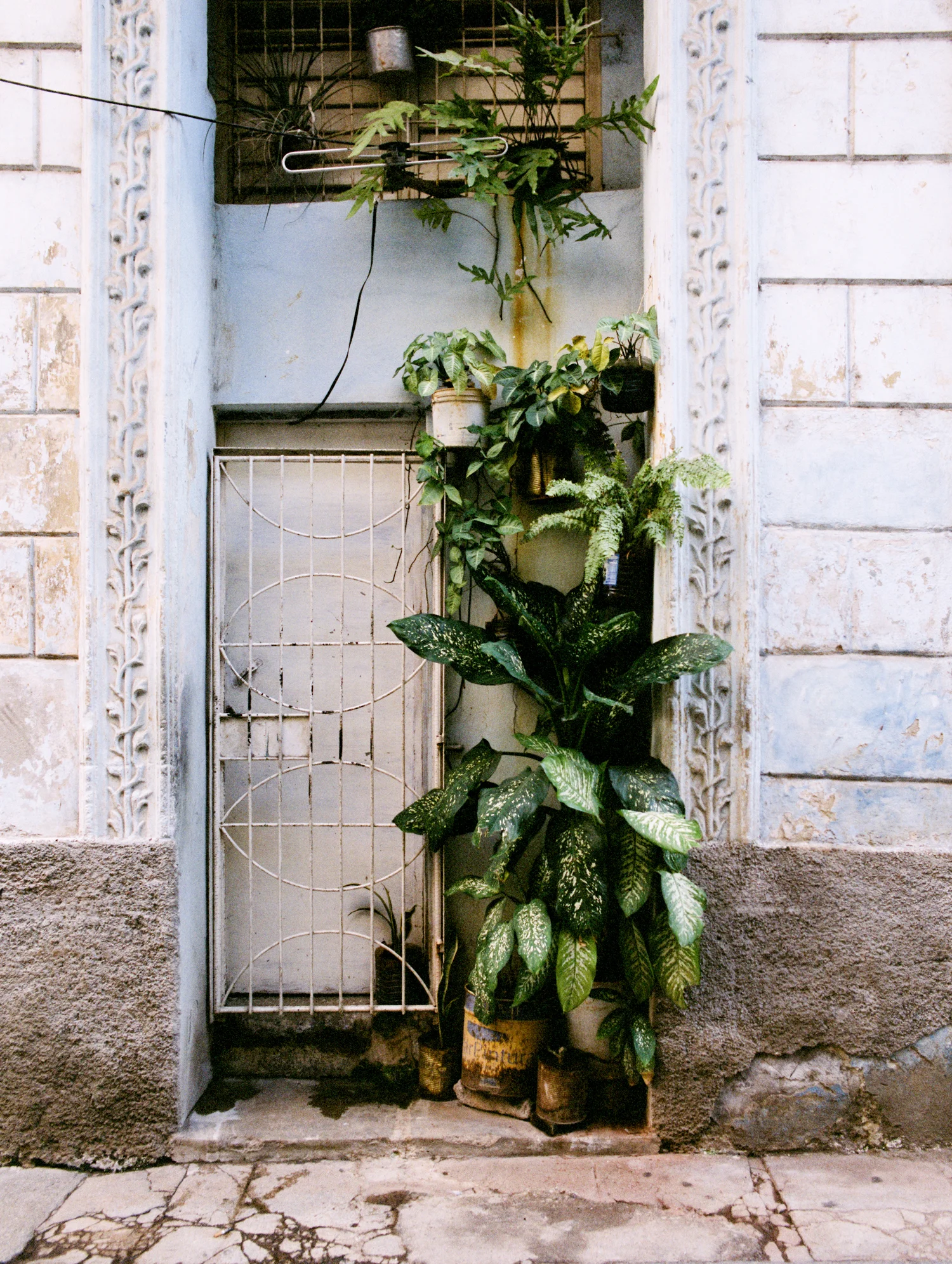 Havana_Samples_213.jpg