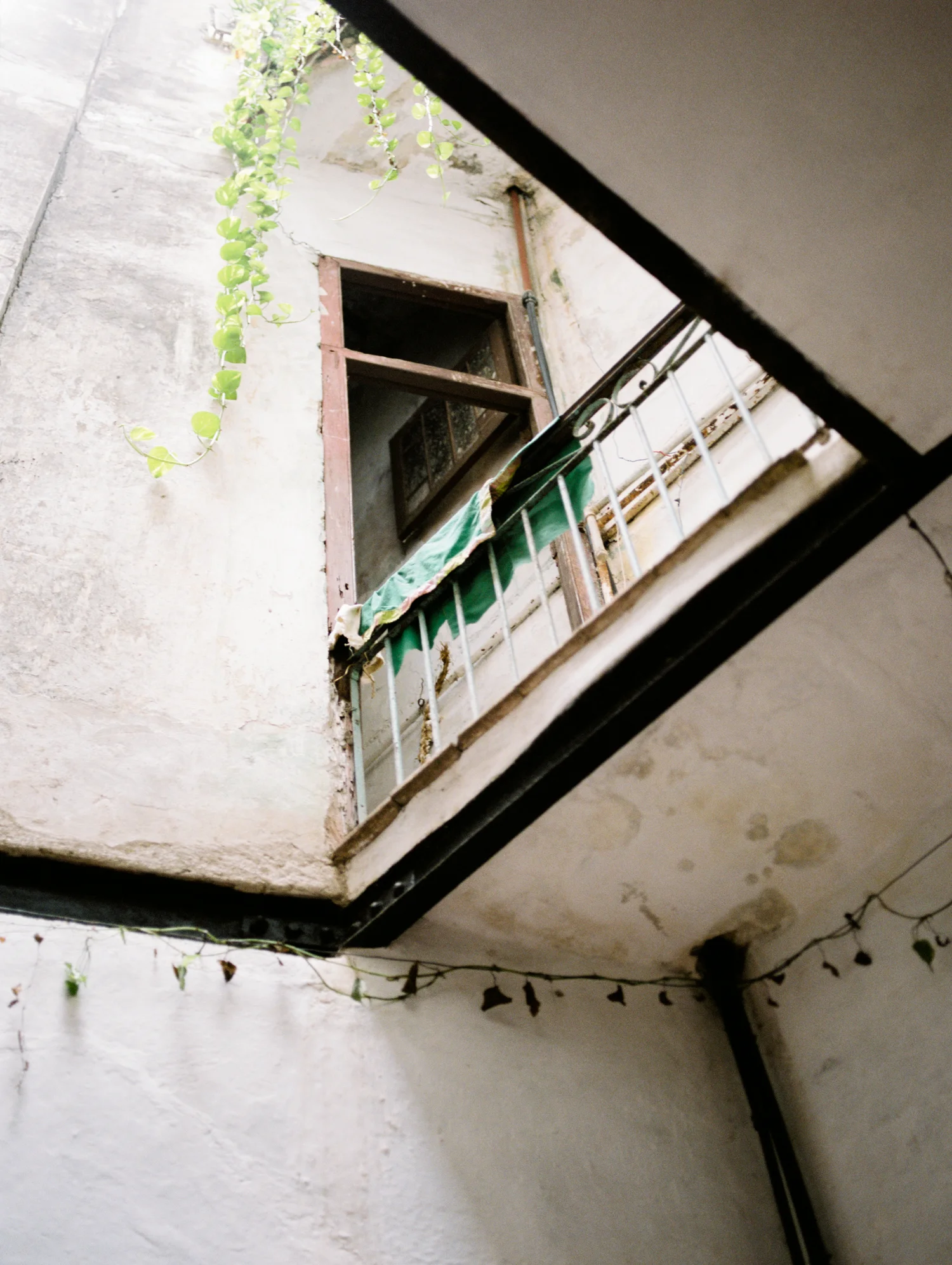 Havana_Samples_269.jpg