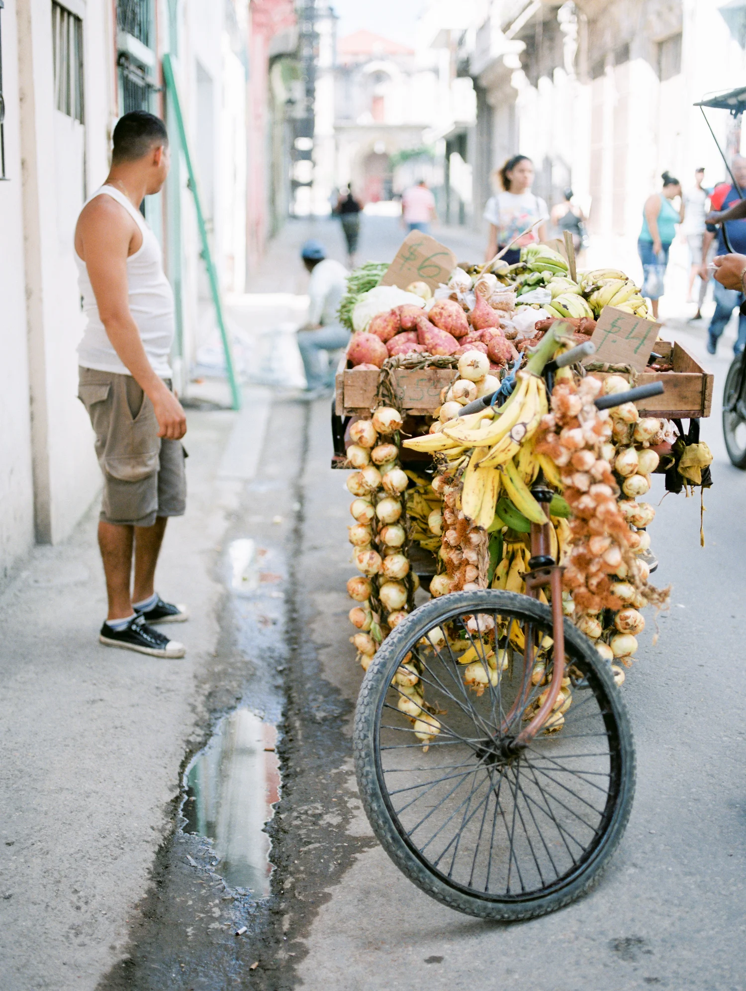 Havana_Samples_311.jpg