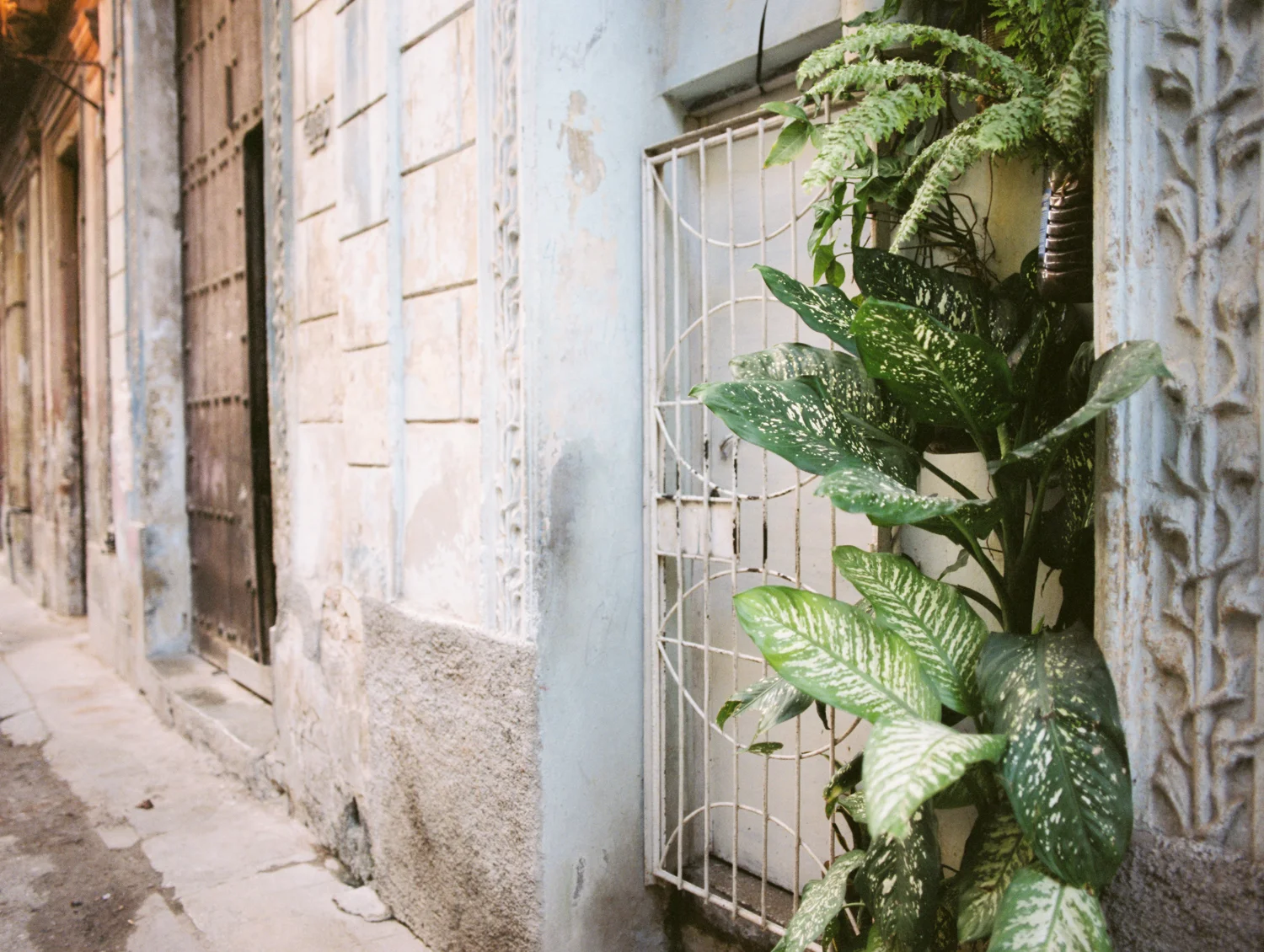 Havana_Samples_087.jpg