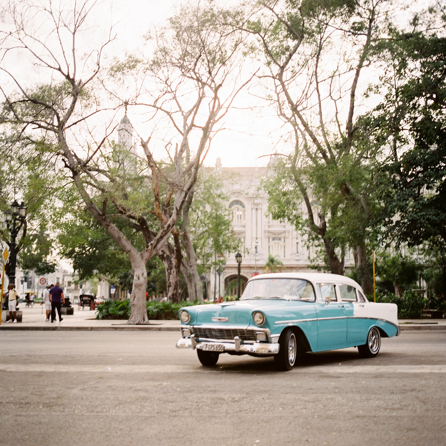 Havana_Samples_364.jpg