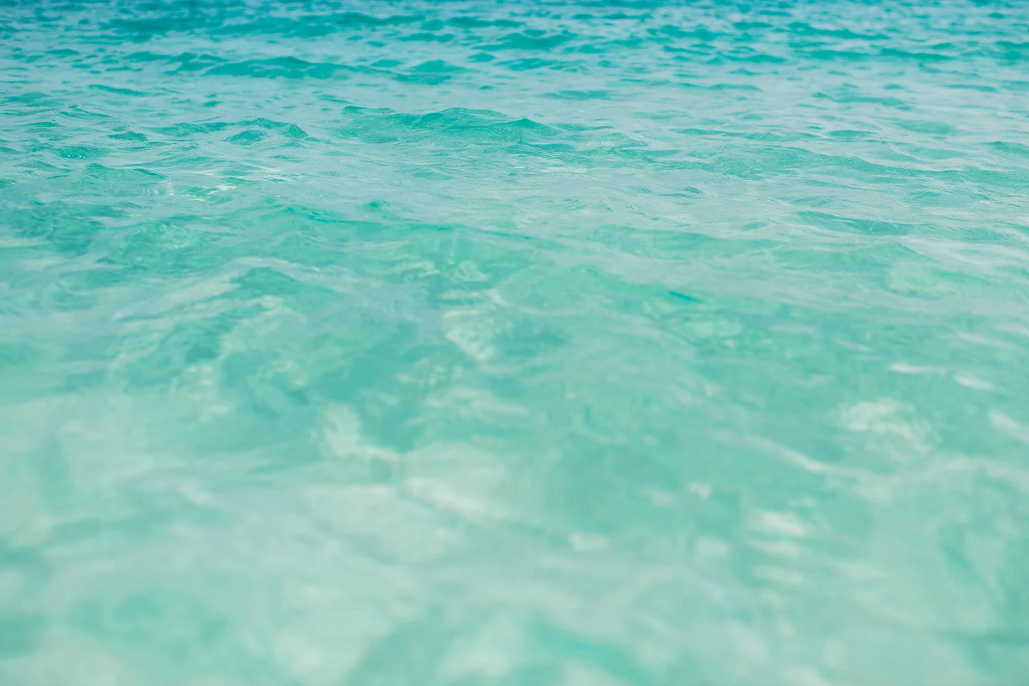 Bahamas2016_701_WEB.jpg