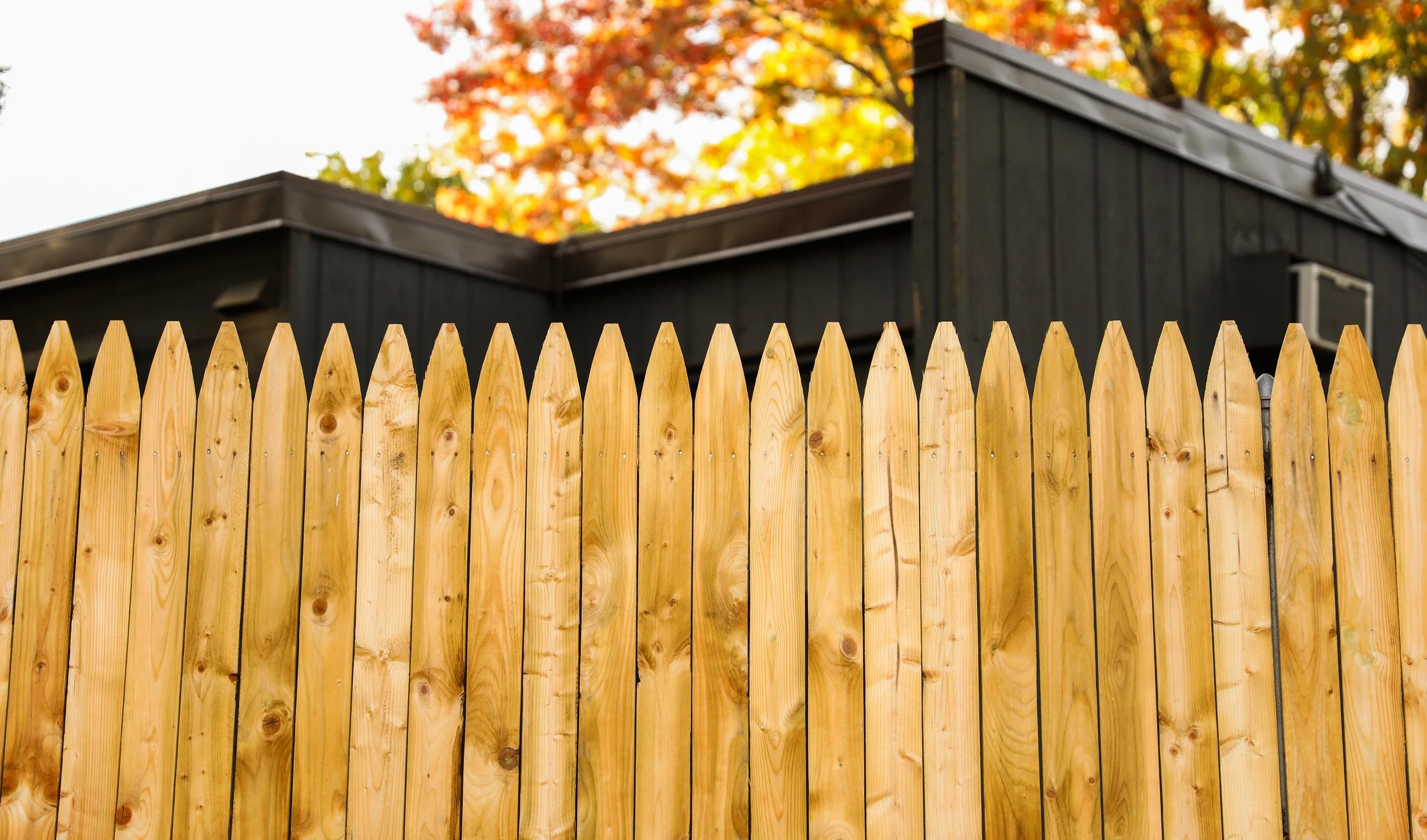 What Is the Best Wood to Use for a Fence?