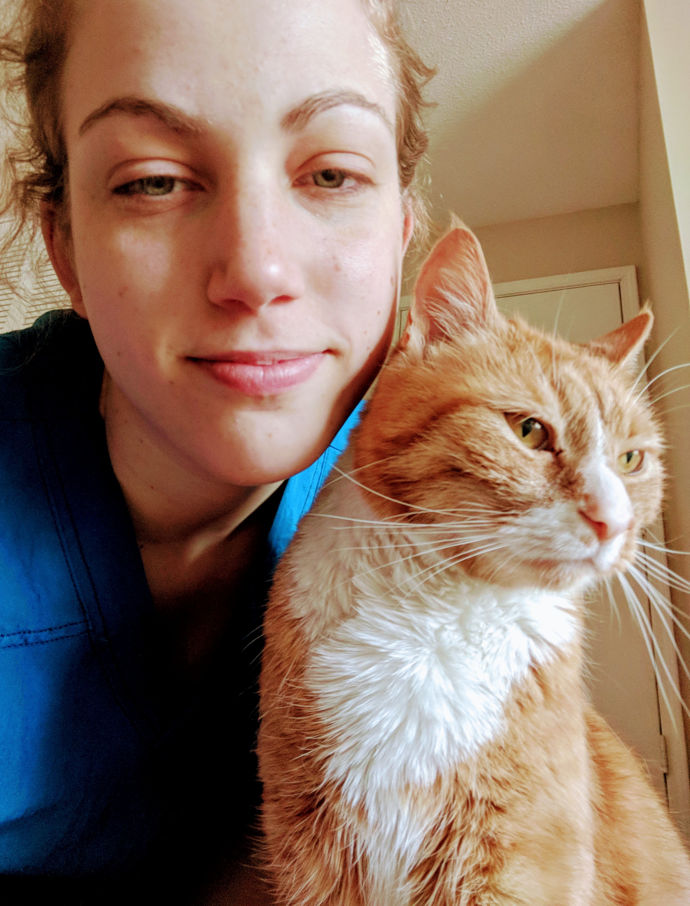 pet clinic of rocky mount