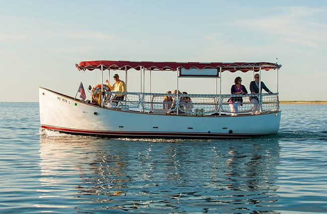 Photo from: http://shearwaterexcursions.com 